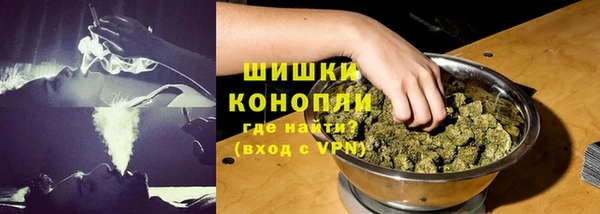 ПСИЛОЦИБИНОВЫЕ ГРИБЫ Баксан