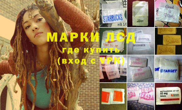 ПСИЛОЦИБИНОВЫЕ ГРИБЫ Баксан