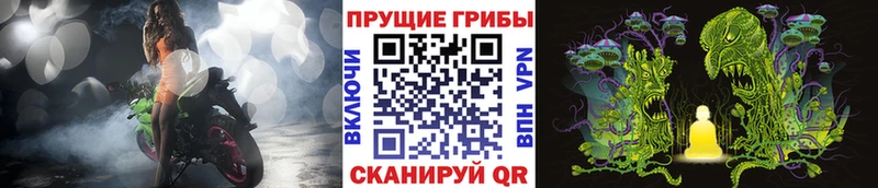 Галлюциногенные грибы Psilocybe  Белорецк 
