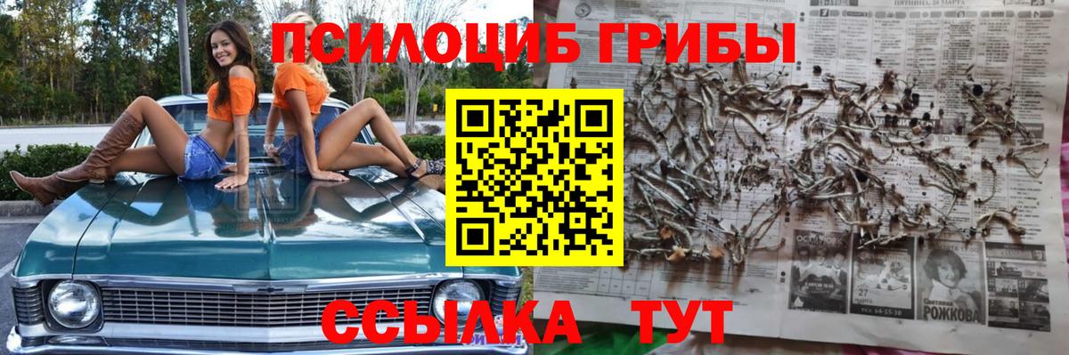 Галлюциногенные грибы Psilocybine cubensis  Вход с VPN  сколько стоит  Белорецк  Галлюциногенные грибы ЛСД 